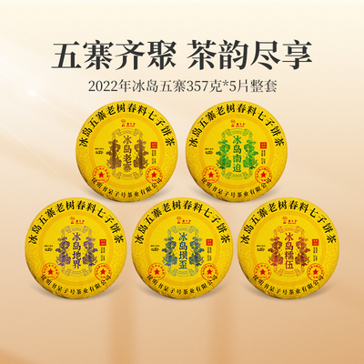 2022年冰岛五寨357克*5片整套