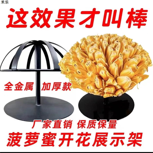 菠萝蜜开花展示架网红同款