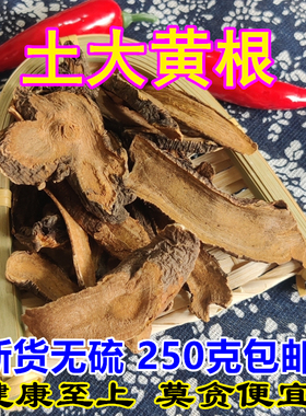 中药材土大黄根 干货纯根片250g包邮 金不换草根正宗四川牛耳大黄