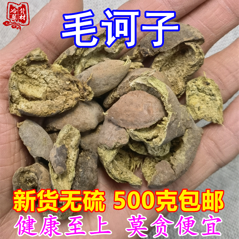 去核毛诃子肉毗黎勒藏族习用药