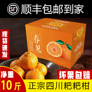顺丰包邮正宗四川春见耙耙柑粑粑柑新鲜水果手剥桔子整箱10斤爆汁