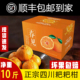 顺丰 包邮 正宗四川春见耙耙柑粑粑柑新鲜水果手剥桔子整箱10斤爆汁