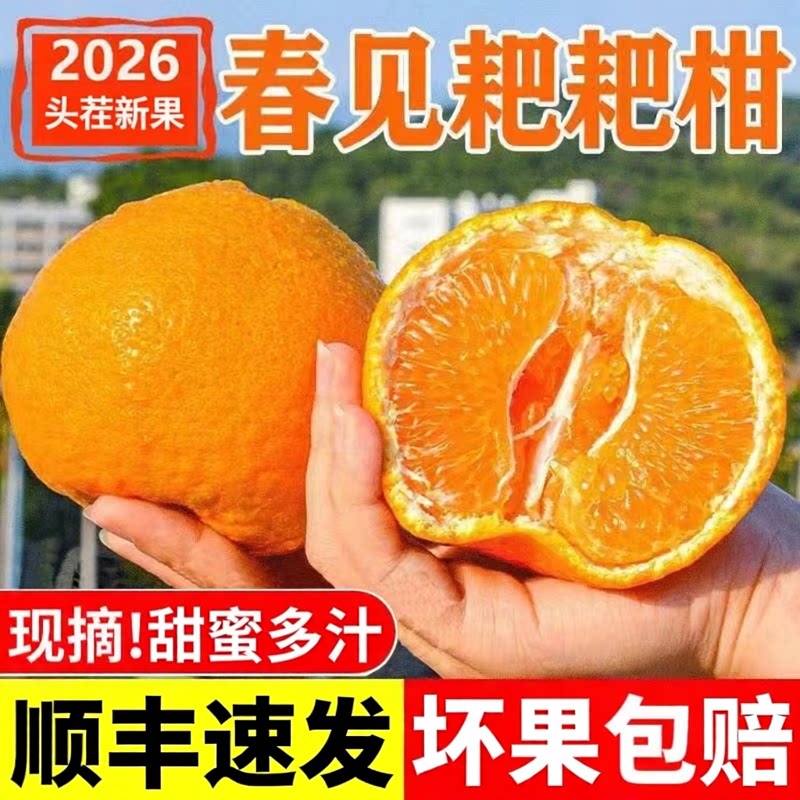 正宗四川早期青黄皮春见耙耙柑粑粑柑新鲜水果手剥桔子整箱10爆汁