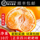 四川耙耙柑春见粑粑柑爆汁现摘大果手剥桔子新鲜水果整箱10斤顺丰