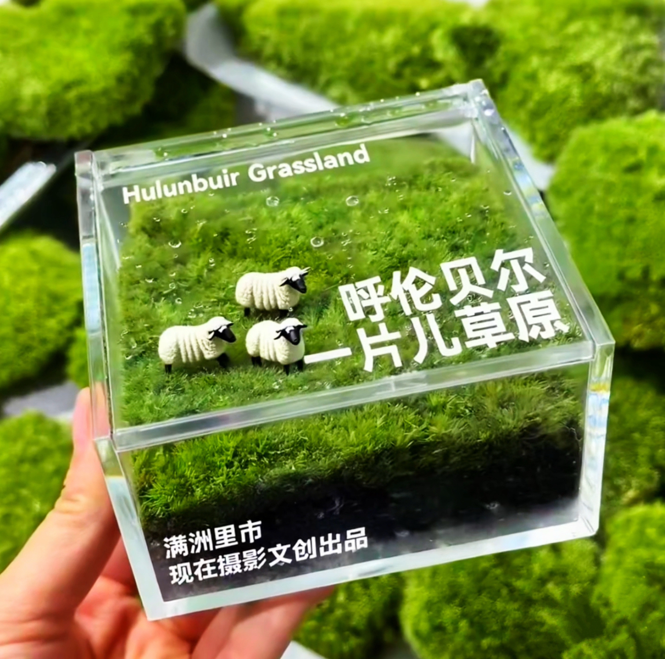 满洲里冰箱贴呼伦贝尔一片草原冰箱贴国门套娃广场内蒙古草原文创