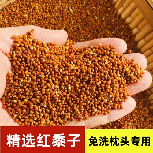 红黍子蒙稷枕头填充物