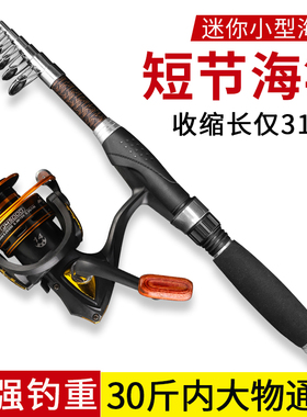 超短节海竿路亚竿超轻超硬鱼竿带轮套装纺车轮水滴轮抛竿江竿