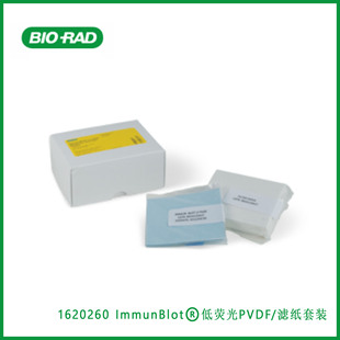 Blot低荧光PVDF滤纸套装 伯乐Bio Immun Rad 1620260