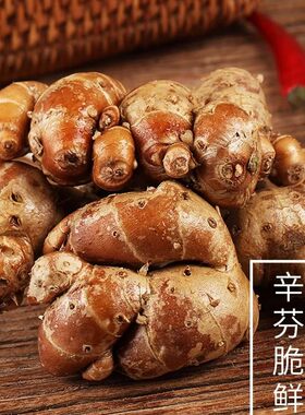 新鲜广东正宗沙姜砂姜新姜现挖三柰山奈白切鸡配料香料调味排姜