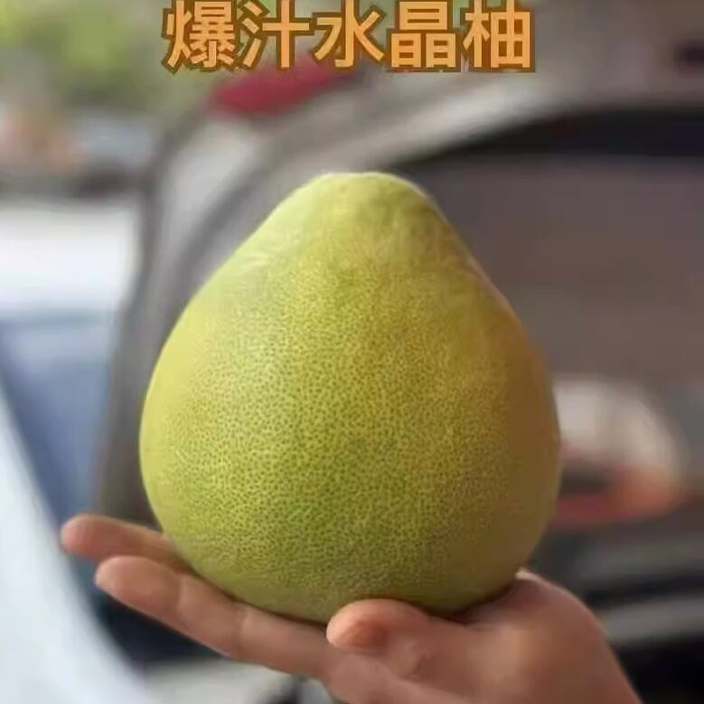 梅县客家特产水晶柚土柚子丑柚子