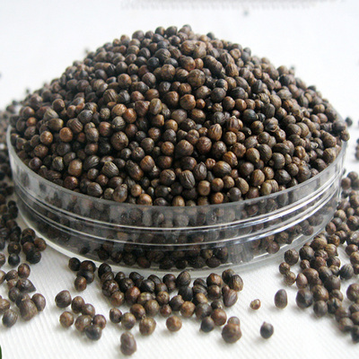 黄荆子枕头枕芯成人儿童决明子荆花种子布荆仁布惊子普姜籽黄金子