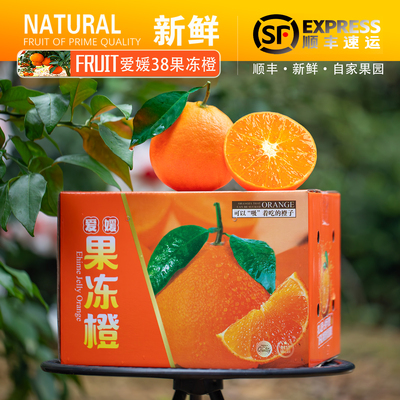 核心产区爱媛38果冻橙净10斤现摘