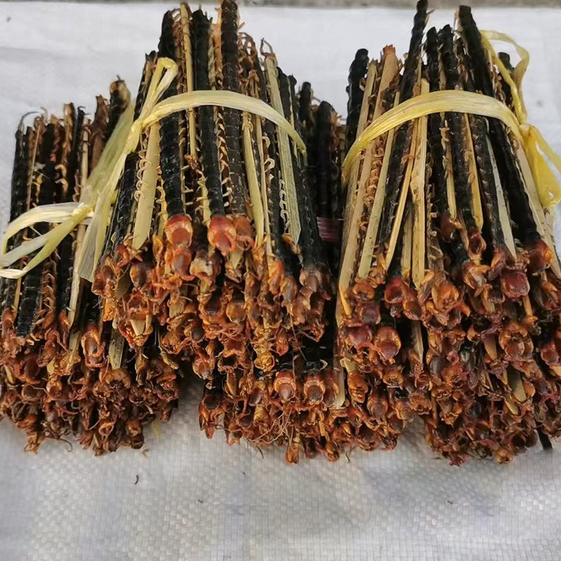 湖北红头蜈蚣干10条中药材大红头批发完整无接条干货原产地发货