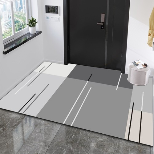 硅藻泥地垫入户门2024新款进门门口入户门垫地毯防滑脚垫可裁剪