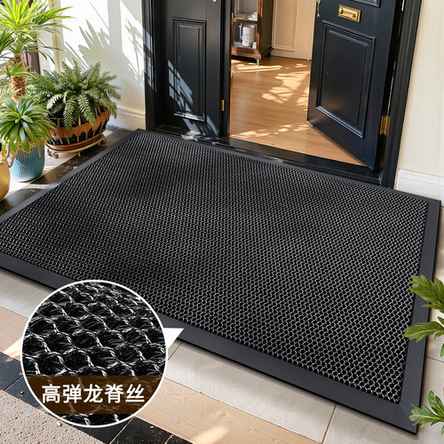 【除尘耐磨】地垫入户门垫