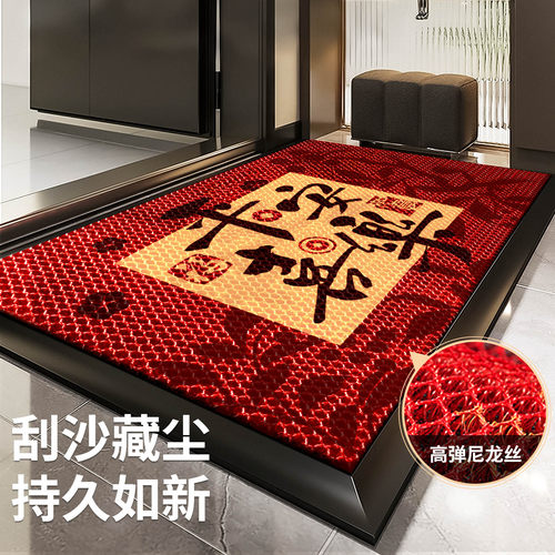 入户门地垫2025新款门口进门专用防滑垫家用免洗脚垫室外门垫地毯