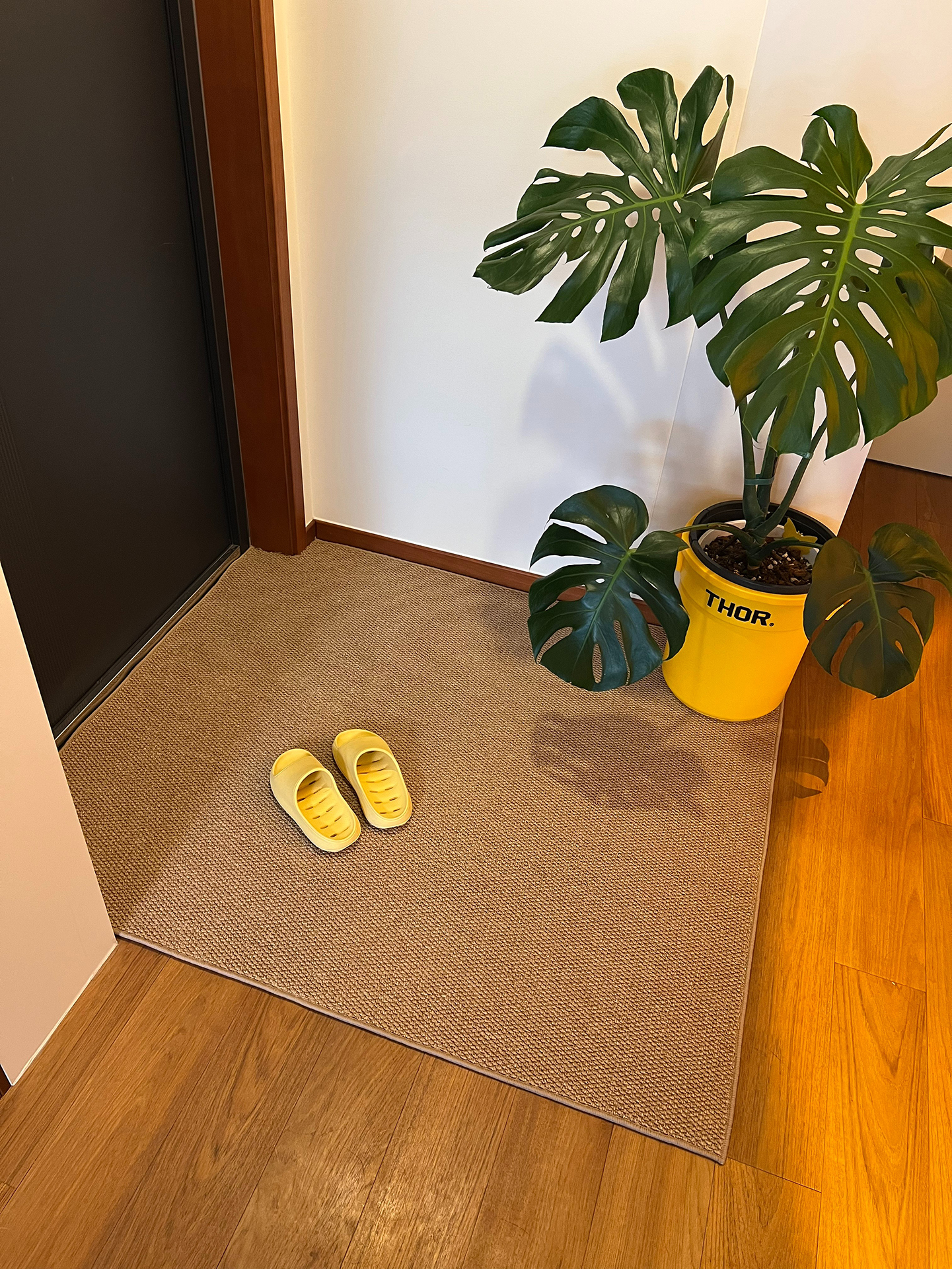 地垫入户门垫高级感2025新款玄关家用进门地毯入门室内门口脚垫