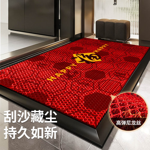 入户门地垫2025新款门口进门专用防滑垫家用免洗脚垫室外门垫地毯