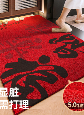丝圈地垫入户门垫进门玄关脚垫乔迁喜庆门口地毯2025新款红色垫子