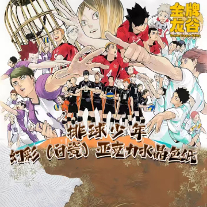 金牌龙谷排球少年卡片色纸盲盒