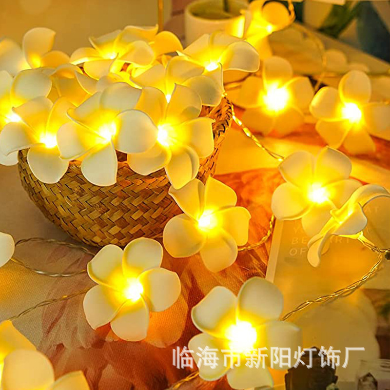led鸡蛋花灯串ins房间装饰灯电