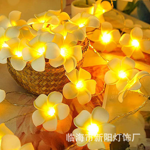 led鸡蛋花灯串ins房间装饰灯电