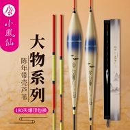 phao câu cá diếc Xiaofeng Fairy Momo Cá chép bạc và Cá chép đầu to Phao sậy lớn Hố đen táo bạo Siêu bắt mắt Độ nhạy cao Chống nước đột quỵ Phao cá phao câu cá chép phao câu tôm