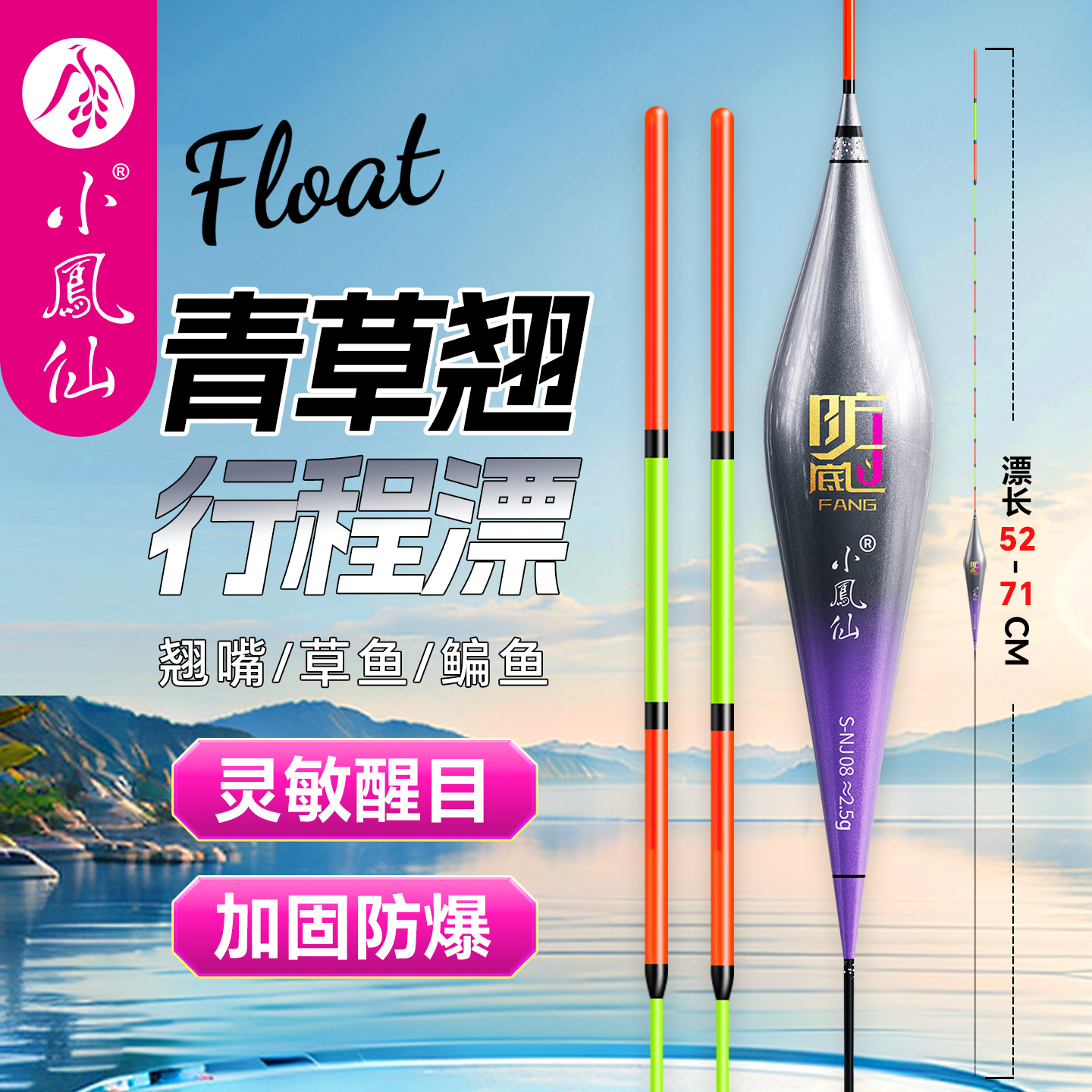 小凤仙青鱼珠珠行程漂混养浮漂