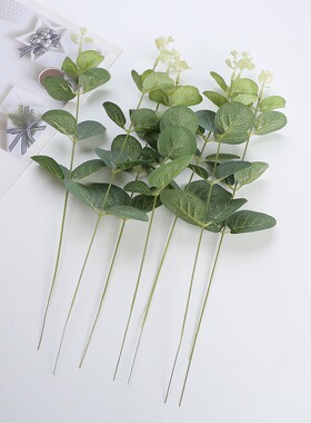 尤加利叶单支金钱叶假花绿植仿真植物婚庆插花配材装饰叶子假草