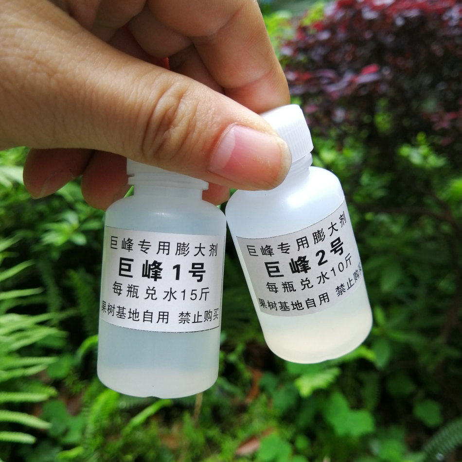 巨峰葡萄膨大剂膨大素调节剂1 2号去核保果剂 不硬梗不落果果粉好