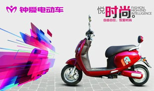 钟爱电动车外壳电瓶车塑料件配件车壳灯具前围前泥板工具箱全套壳