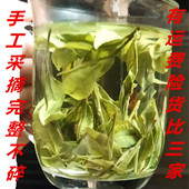 高山白茶2025年10月新茶扁绿茶自家茶园采摘自己加工散装 豆香一斤