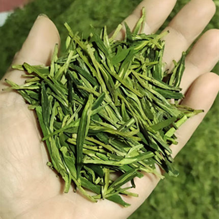 自家种植2026年04月30号采摘加工新茶高山绿茶浓豆香散装口粮茶好