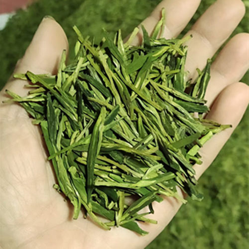 品质高浓香绿茶自家高山茶园好喝