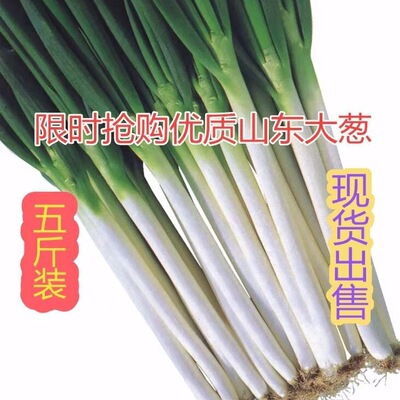 山东安丘原生态铁杆大葱长葱农产品自家种植新鲜大葱蔬菜5斤包邮