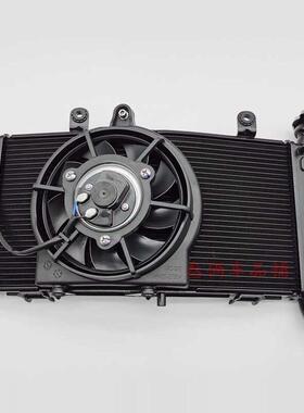 适用摩托车隆鑫LX900DS无极DS900水箱散热器冷却器散热风扇