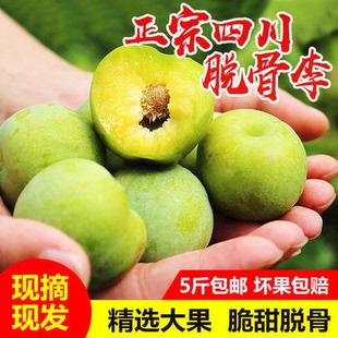大果宜宾青脆脱骨李贵州脆李5斤空心李四川江安李子生鲜水果孕妇