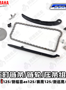 巧格i125福喜125赛鹰新巡鹰旭鹰小链条 正时链条链轮上下压条组合