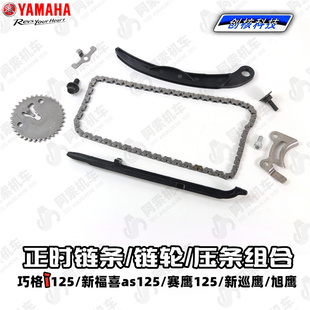巧格i125福喜125赛鹰新巡鹰旭鹰小链条 正时链条链轮上下压条组合
