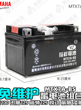 雅马哈福喜100迅鹰125尚领125丽鹰凌鹰RS100免维护蓄电池正品电瓶