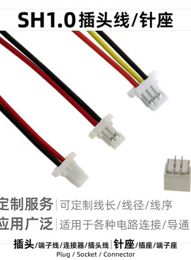 SH1.0带线插头1.0mm孔距端子线2P母针座小型行车仪鼠标电池连接器