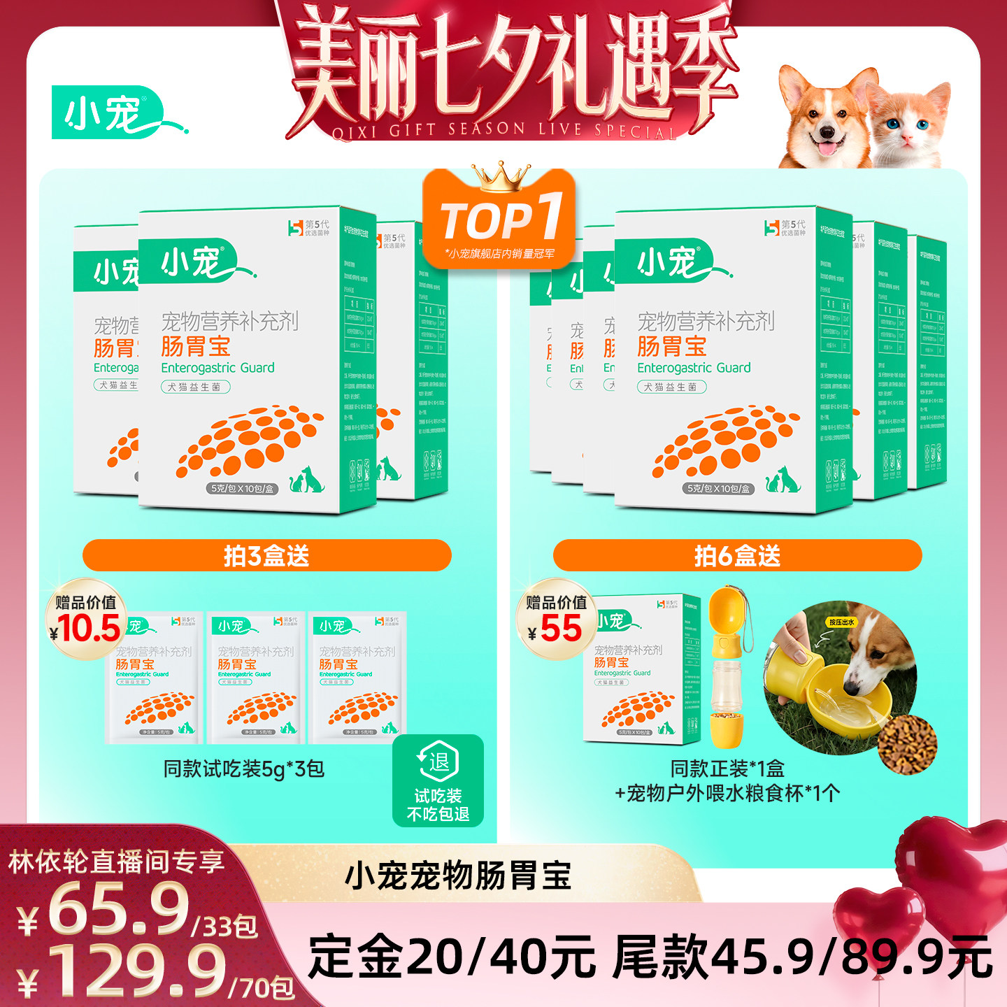 小宠猫咪狗狗调理肠胃
