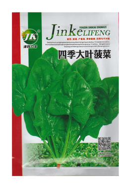 四季大叶菠菜种子 鹦鹉菜 波斯菜 蔬菜种籽 秋播 Spinach Chinese