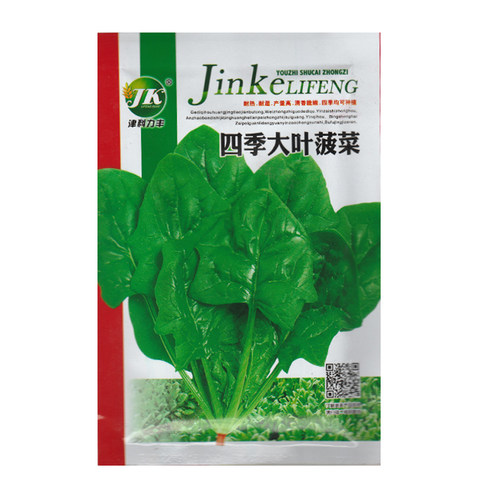 四季大叶菠菜种子鹦鹉菜蔬菜籽