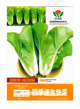 四季速生快菜种子小白菜杭白菜