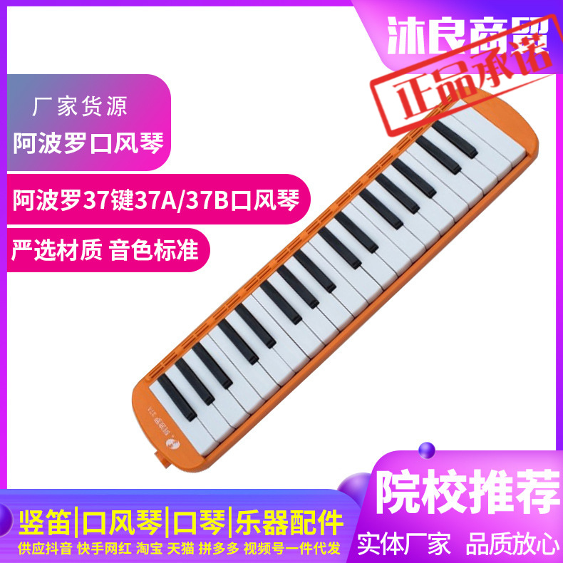 阿波罗37键37A/37B口风琴儿童学生课堂教学乐器成人初学者演奏级