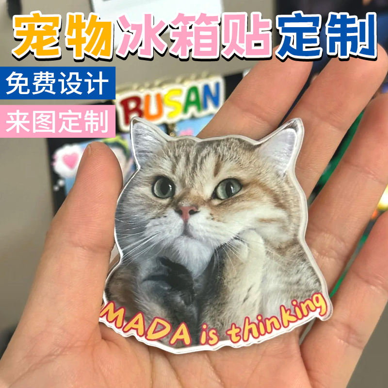 宠物冰箱贴定制，戳客服优先发货