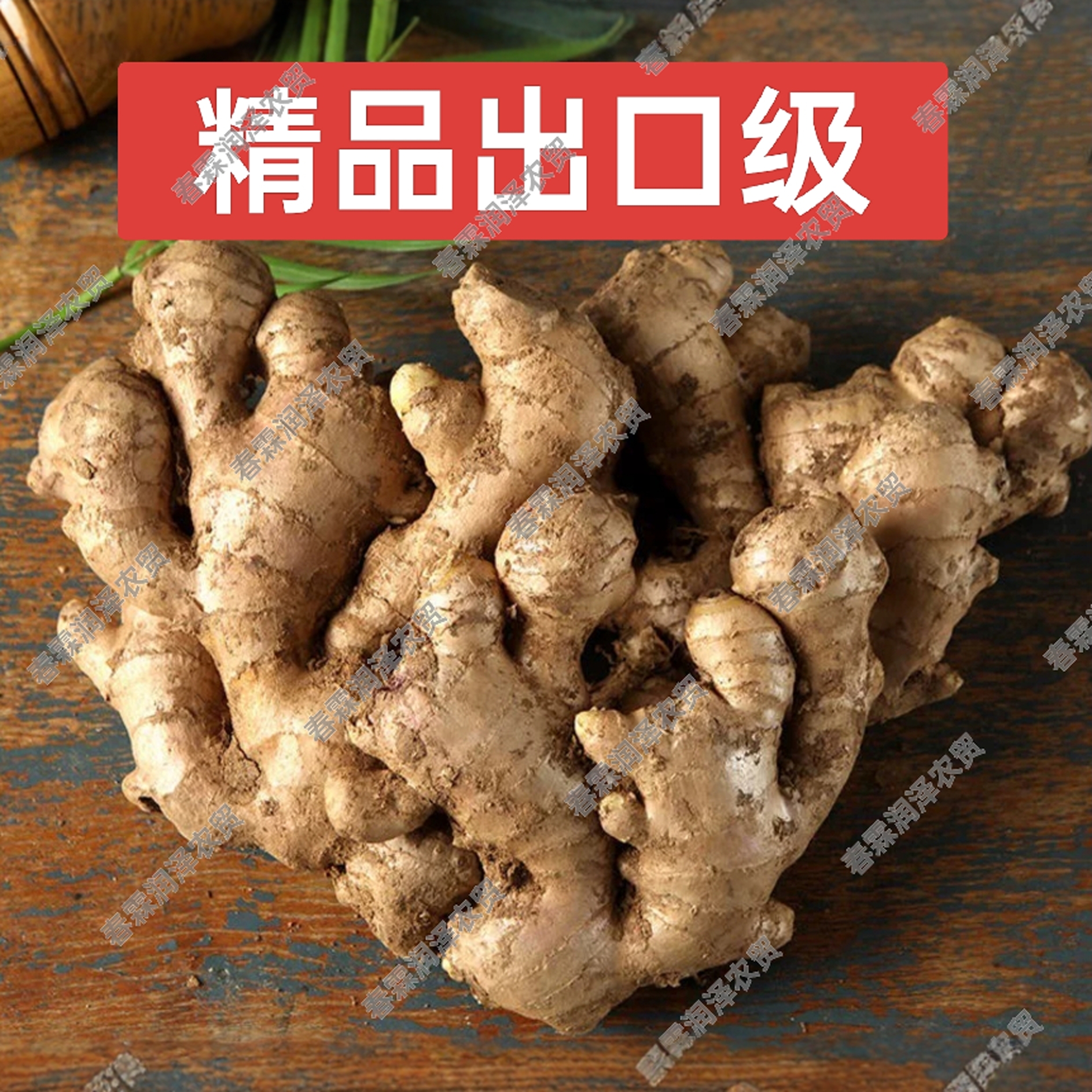 精品山东生姜精品老姜现挖土自家种植精品出口级未精洗