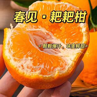 京东快递东三省默认圆通春见耙耙柑自然成熟现摘新鲜发货7甜3酸