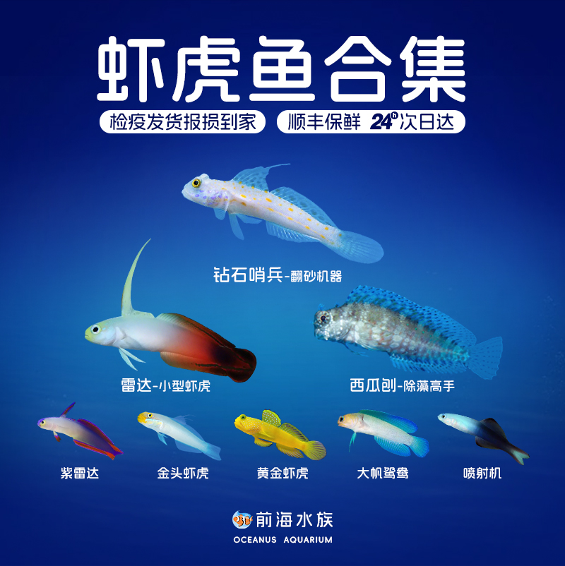 钻石哨兵金头虾虎翻砂清理缸工具